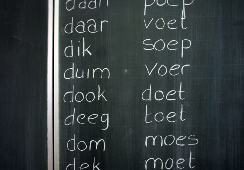 Dutch Lessons